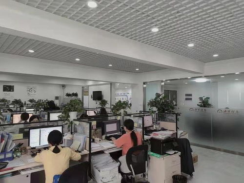 都江堰市與新津縣 工商注冊與個(gè)人商務(wù)服務(wù)全攻略